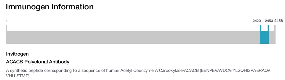 ACACB Polyclonal Antibody