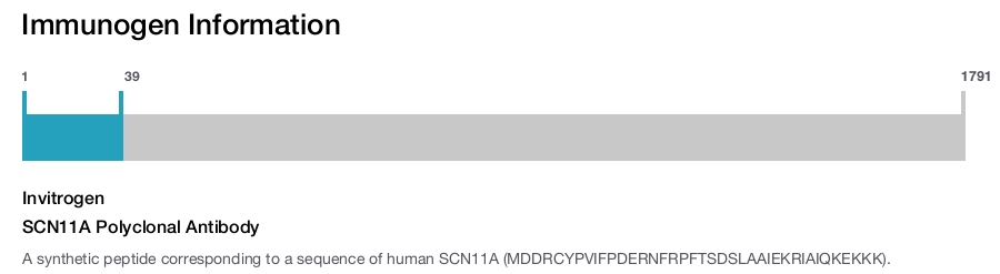 SCN11A Polyclonal Antibody