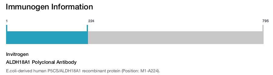 ALDH18A1 Polyclonal Antibody