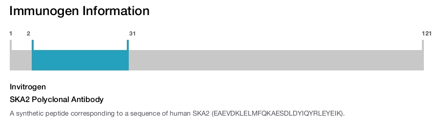 SKA2 Polyclonal Antibody