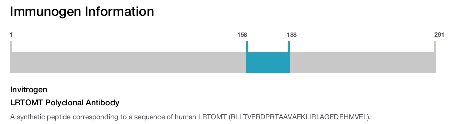 LRTOMT Polyclonal Antibody