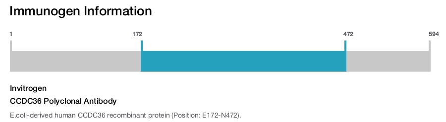 CCDC36 Polyclonal Antibody