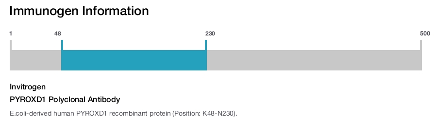 PYROXD1 Polyclonal Antibody