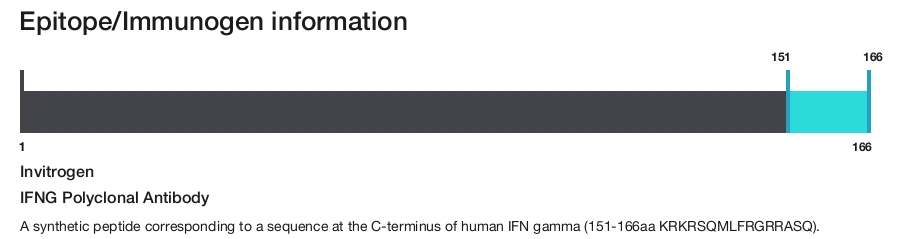 IFNG Polyclonal Antibody