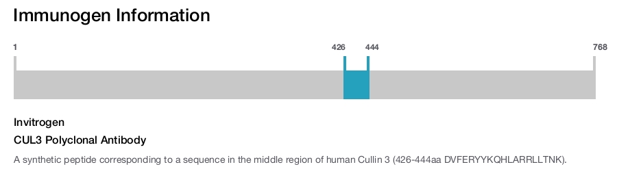 CUL3 Polyclonal Antibody