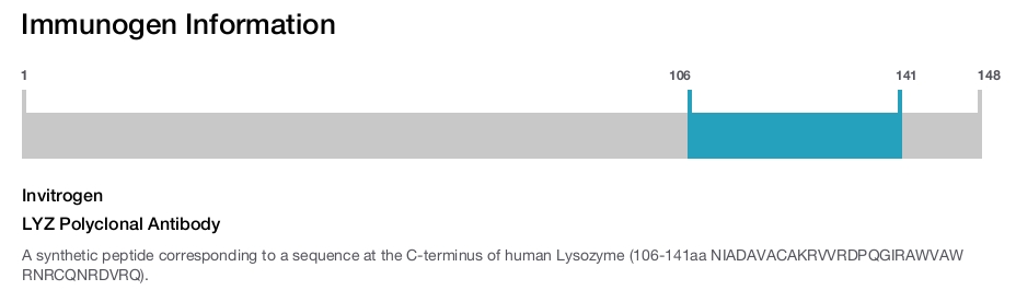 LYZ Polyclonal Antibody