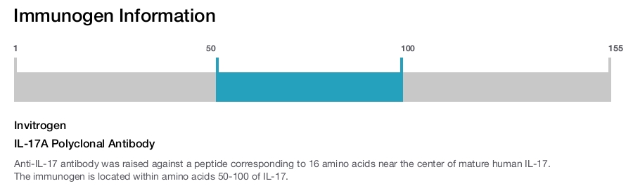 IL-17A Polyclonal Antibody
