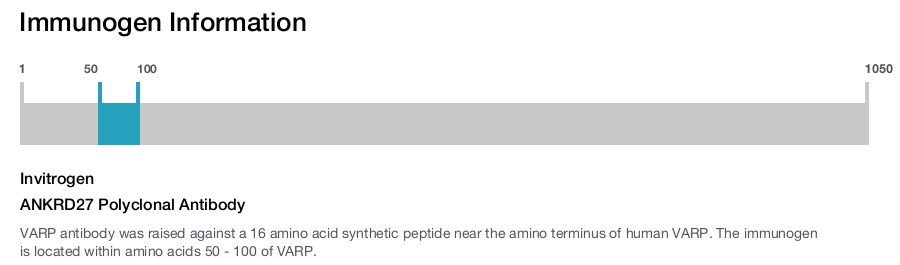 ANKRD27 Polyclonal Antibody