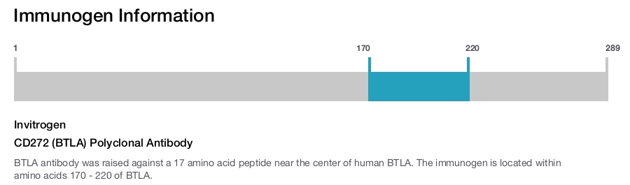 CD272 (BTLA) Polyclonal Antibody