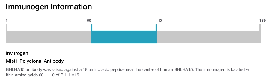 Mist1 Polyclonal Antibody