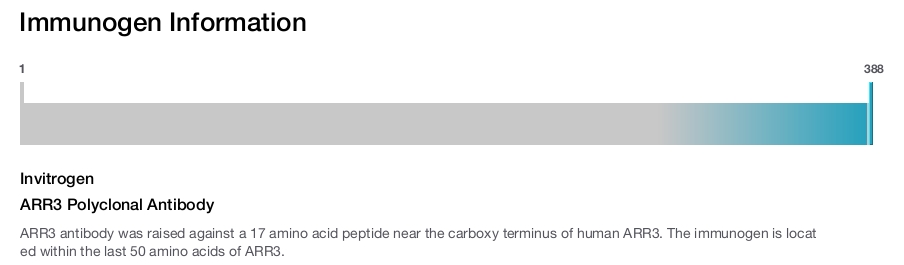 ARR3 Polyclonal Antibody
