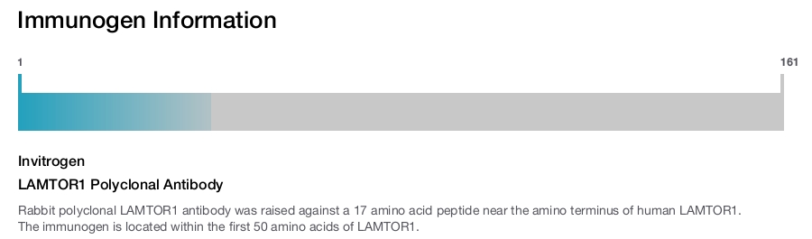 LAMTOR1 Polyclonal Antibody