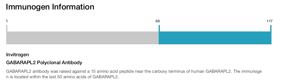 GABARAPL2 Polyclonal Antibody