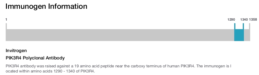 PIK3R4 Polyclonal Antibody
