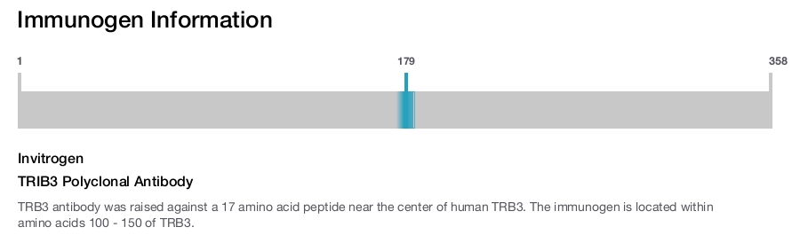 TRIB3 Polyclonal Antibody