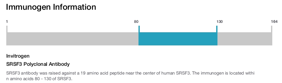 SRSF3 Polyclonal Antibody
