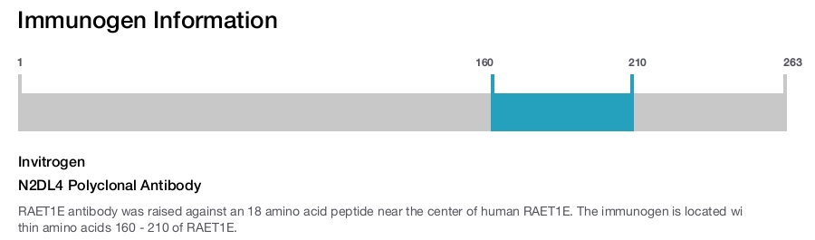 N2DL4 Polyclonal Antibody