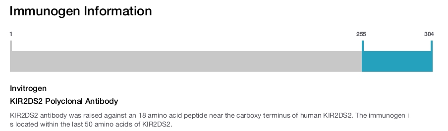 KIR2DS2 Polyclonal Antibody