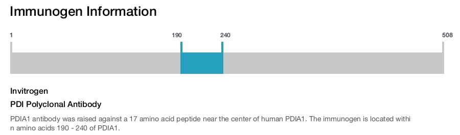 PDI Polyclonal Antibody