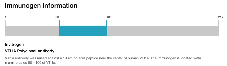 VTI1A Polyclonal Antibody