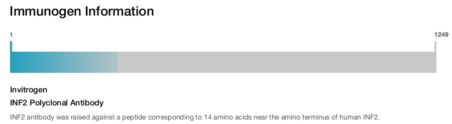 INF2 Polyclonal Antibody