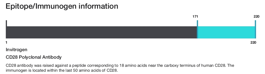 CD28 Polyclonal Antibody