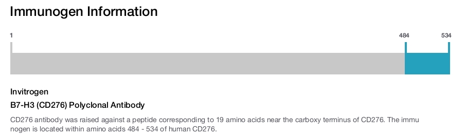 B7-H3 (CD276) Polyclonal Antibody