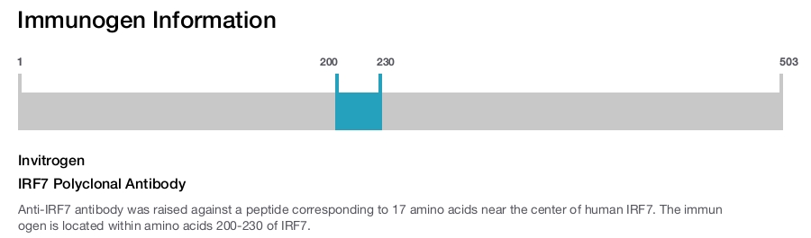 IRF7 Polyclonal Antibody
