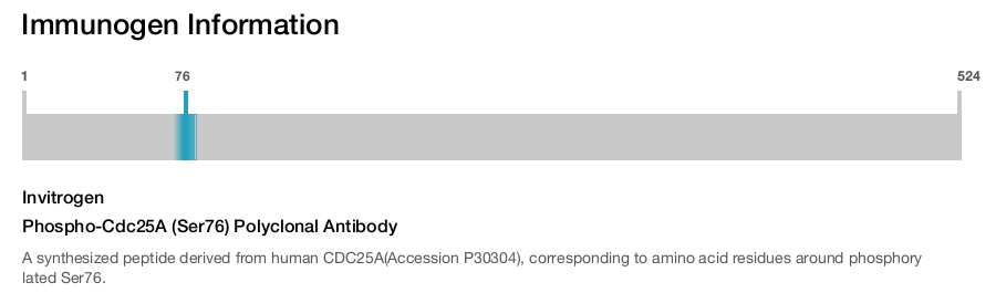 Phospho-Cdc25A (Ser76) Polyclonal Antibody