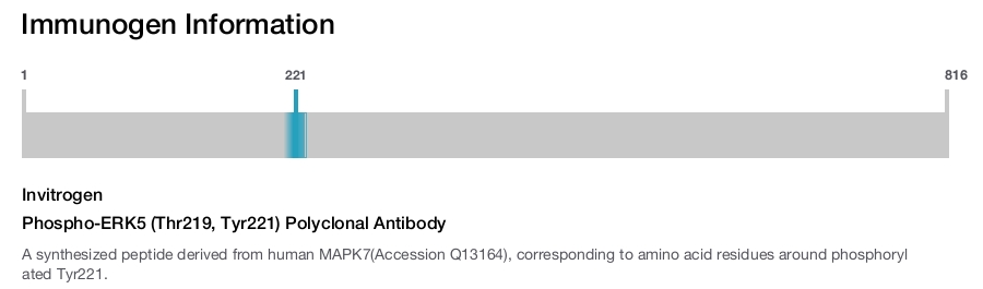 Phospho-ERK5 (Thr219, Tyr221) Polyclonal Antibody