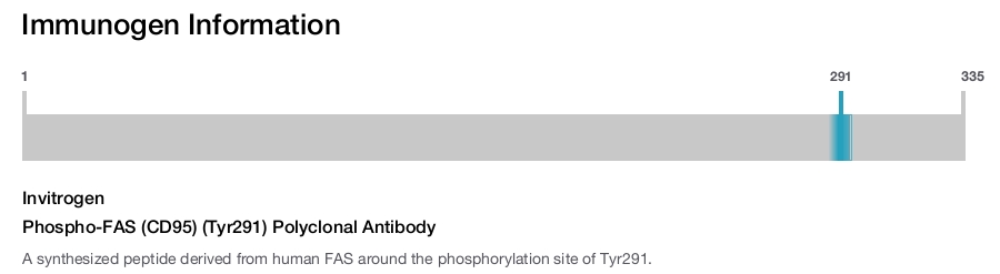 Phospho-FAS (CD95) (Tyr291) Polyclonal Antibody