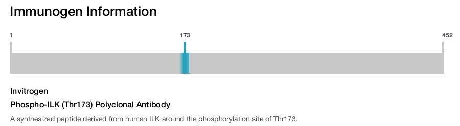 Phospho-ILK (Thr173) Polyclonal Antibody