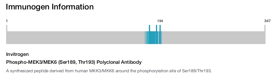 Phospho-MEK3/MEK6 (Ser189, Thr193) Polyclonal Antibody