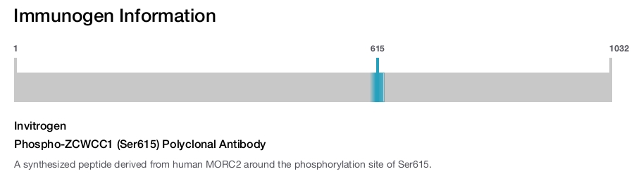 Phospho-ZCWCC1 (Ser615) Polyclonal Antibody