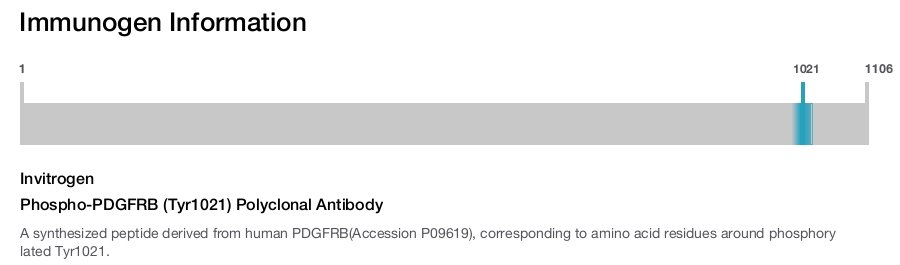Phospho-PDGFRB (Tyr1021) Polyclonal Antibody