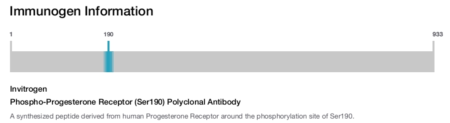 Phospho-Progesterone Receptor (Ser190) Polyclonal Antibody