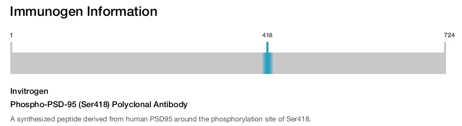 Phospho-PSD-95 (Ser418) Polyclonal Antibody