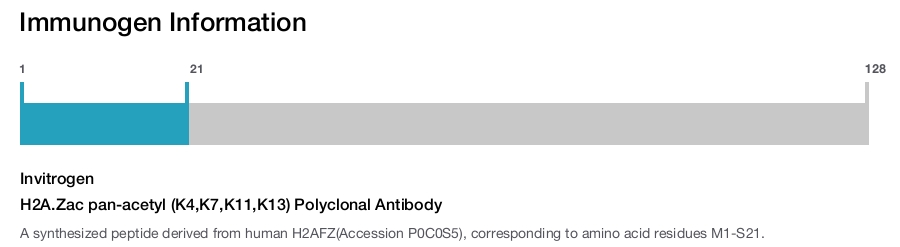 H2A.Zac pan-acetyl (K4,K7,K11,K13) Polyclonal Antibody