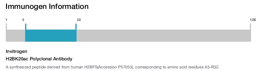 H2BK20ac Polyclonal Antibody