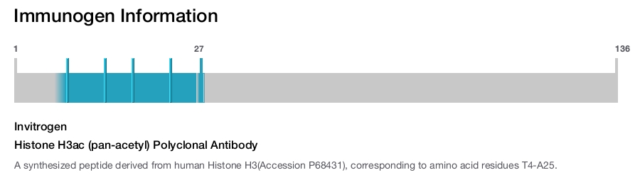 Histone H3ac (pan-acetyl) Polyclonal Antibody