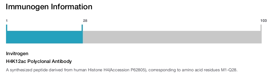 H4K12ac Polyclonal Antibody