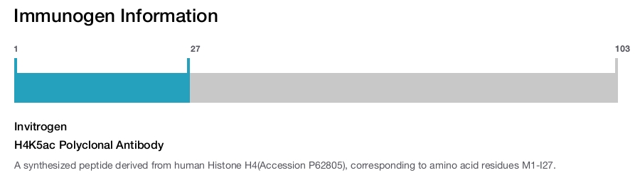 H4K5ac Polyclonal Antibody