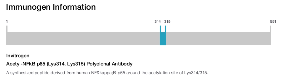 Acetyl-NFkB p65 (Lys314, Lys315) Polyclonal Antibody