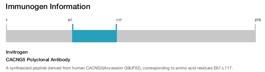 CACNG5 Polyclonal Antibody