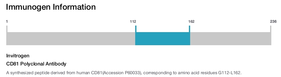 CD81 Polyclonal Antibody