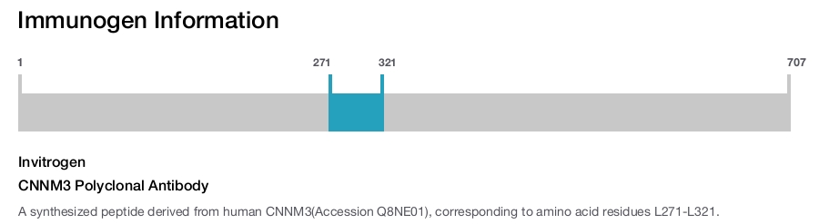 CNNM3 Polyclonal Antibody