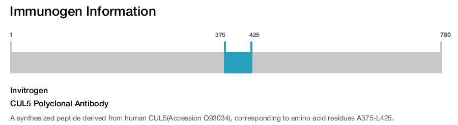 CUL5 Polyclonal Antibody
