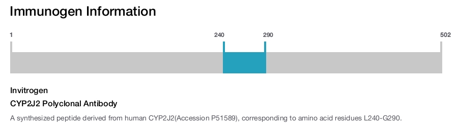 CYP2J2 Polyclonal Antibody