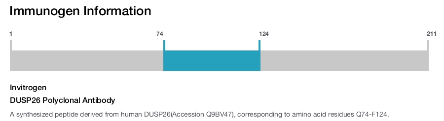 DUSP26 Polyclonal Antibody