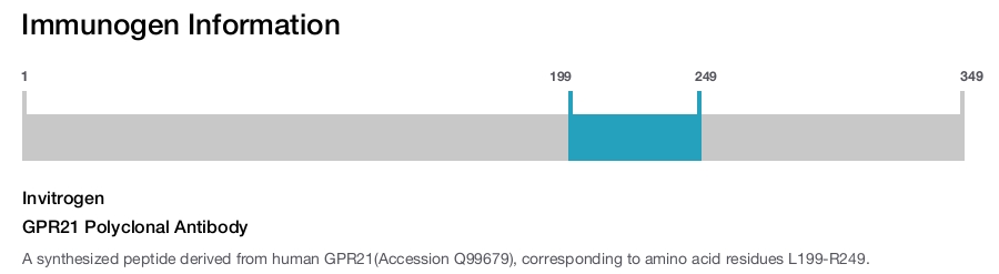 GPR21 Polyclonal Antibody